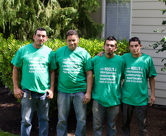 Noel's Landscaping team