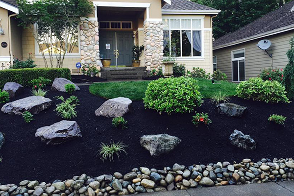 front lawn landscaping