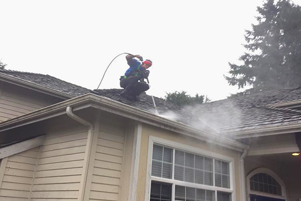 roof cleaning